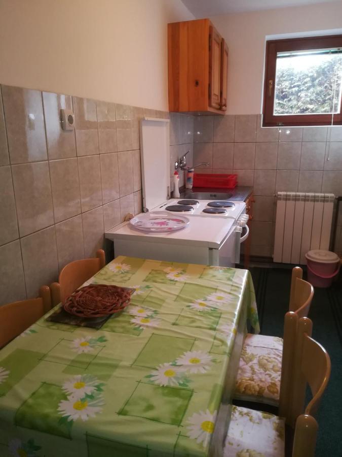 Apartament Vila Zoran Zlatibor Zewnętrze zdjęcie