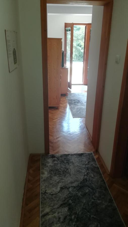 Apartament Vila Zoran Zlatibor Zewnętrze zdjęcie