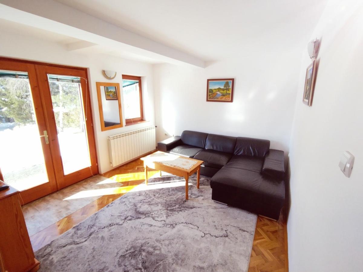 Apartament Vila Zoran Zlatibor Zewnętrze zdjęcie