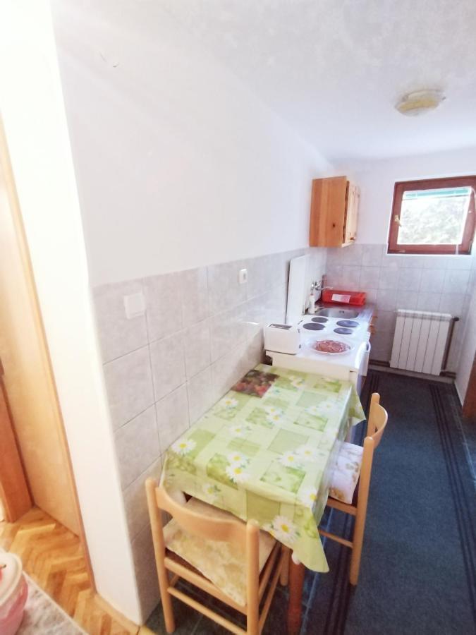 Apartament Vila Zoran Zlatibor Zewnętrze zdjęcie